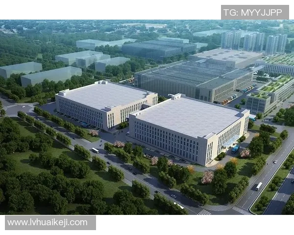 深圳排球队运营策略深度分析与发展前景探讨